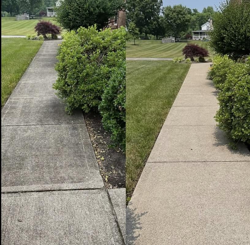 Trash Can Cleaning