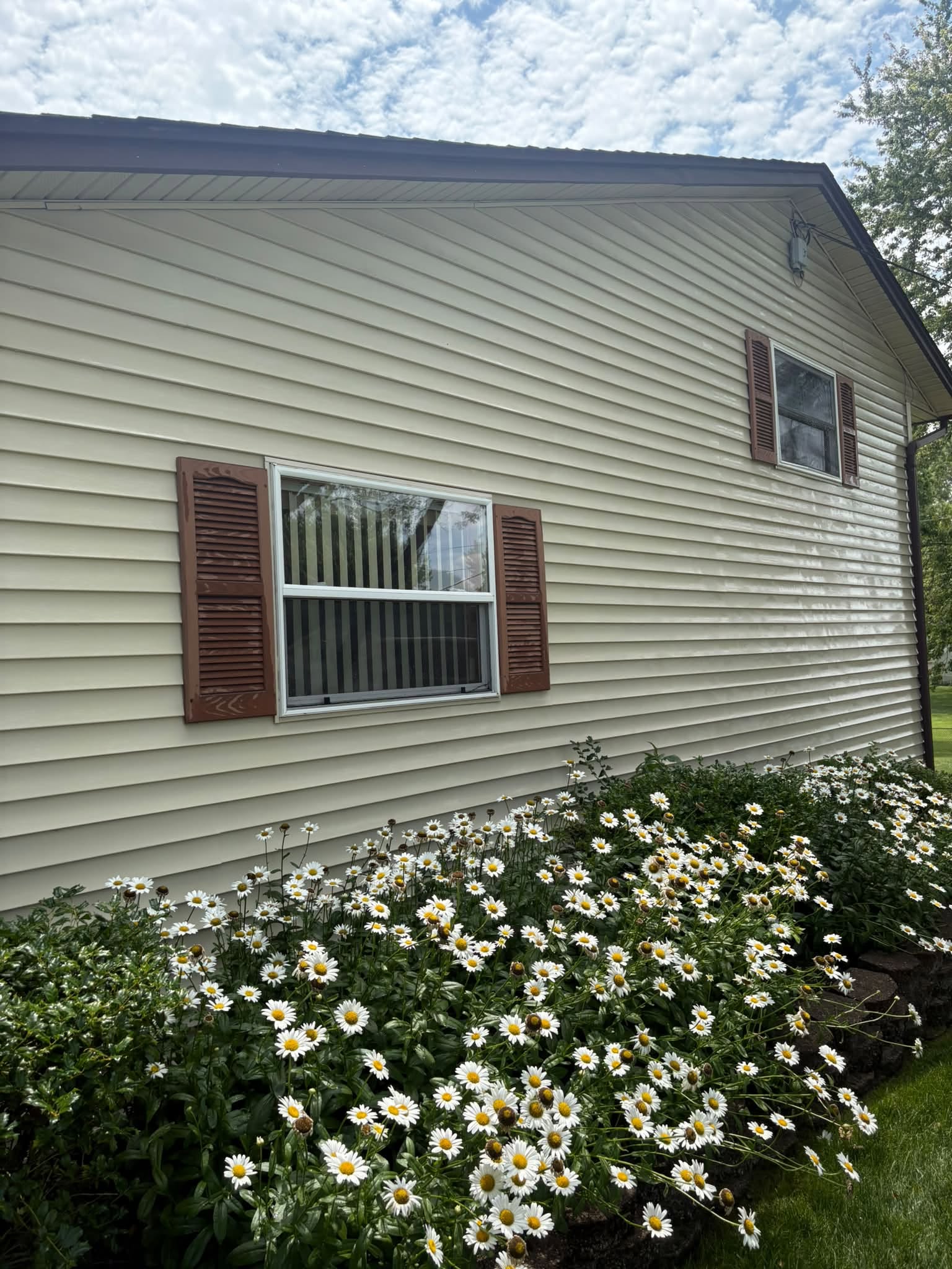 House & Siding Washing