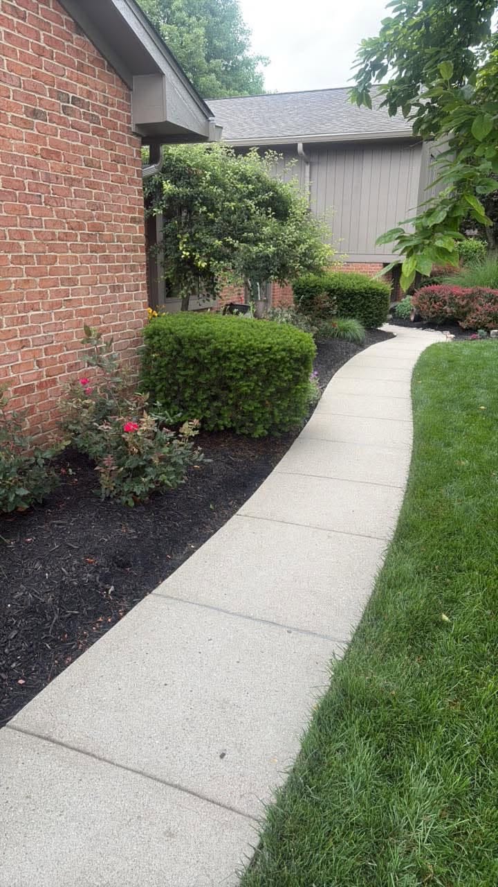 Patio Cleaning
